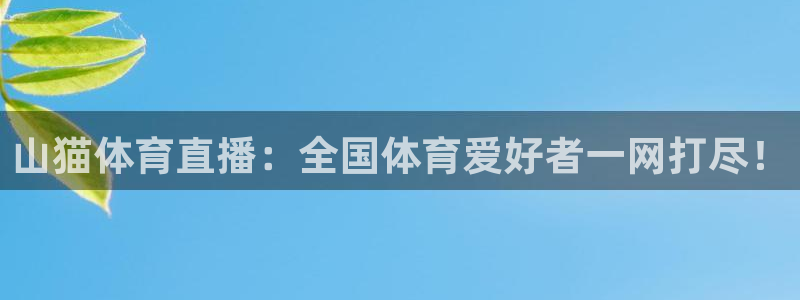 山猫体育直播：全国体育爱好者一网打尽！