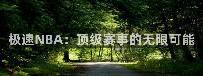 极速NBA：顶级赛事的无限可能